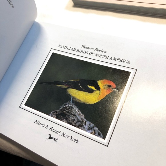 AUDUBON SOCIETY POCKET GUIDES Gift Set Western REGION/SLIP CASE By John Farrand - Picture 4 of 16